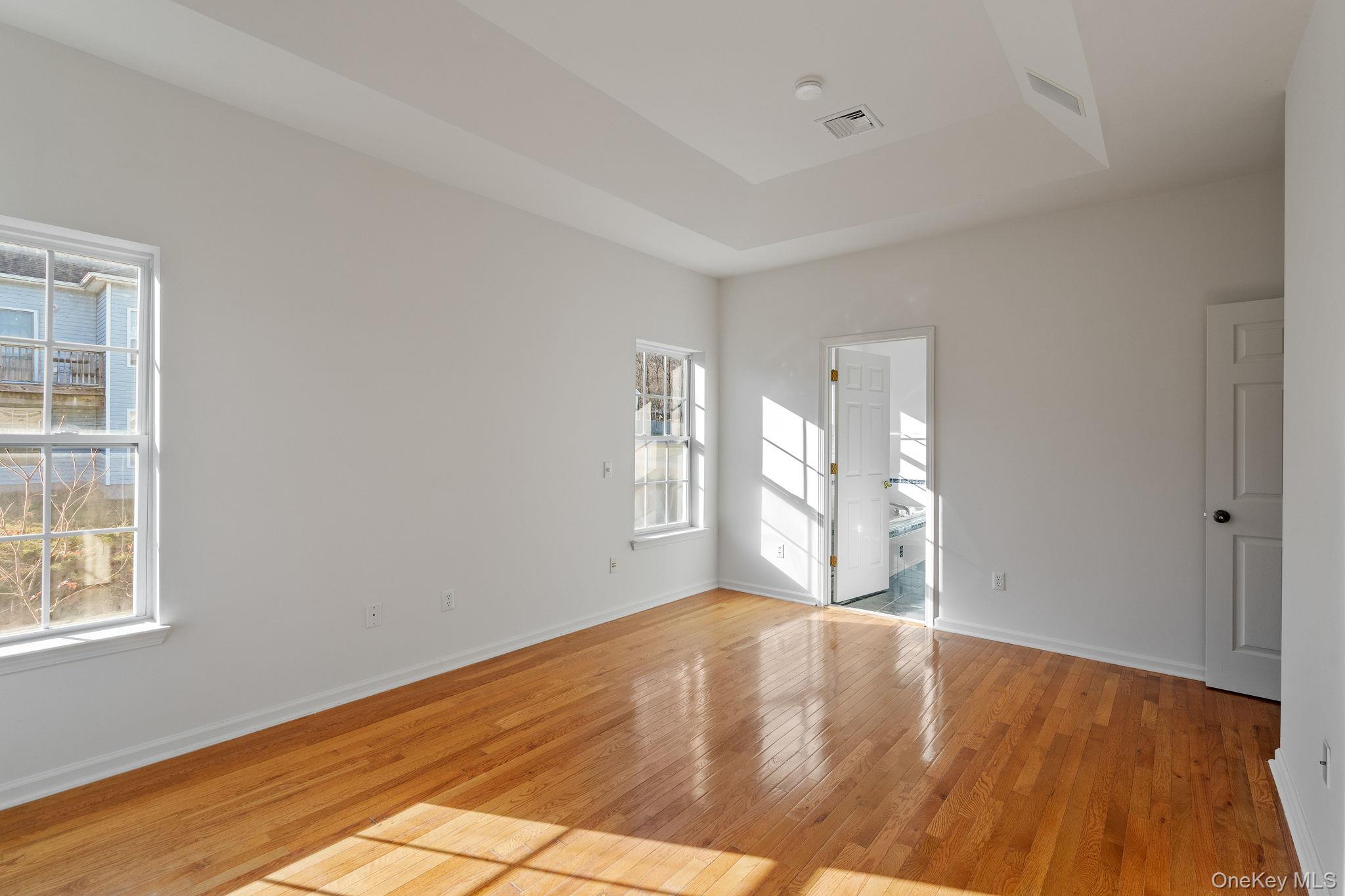 17 Carmella Road Highland, NY 12528 - Photo 27 of 48 Unfurnished room featuring a raised ceiling and light wood-style flooring