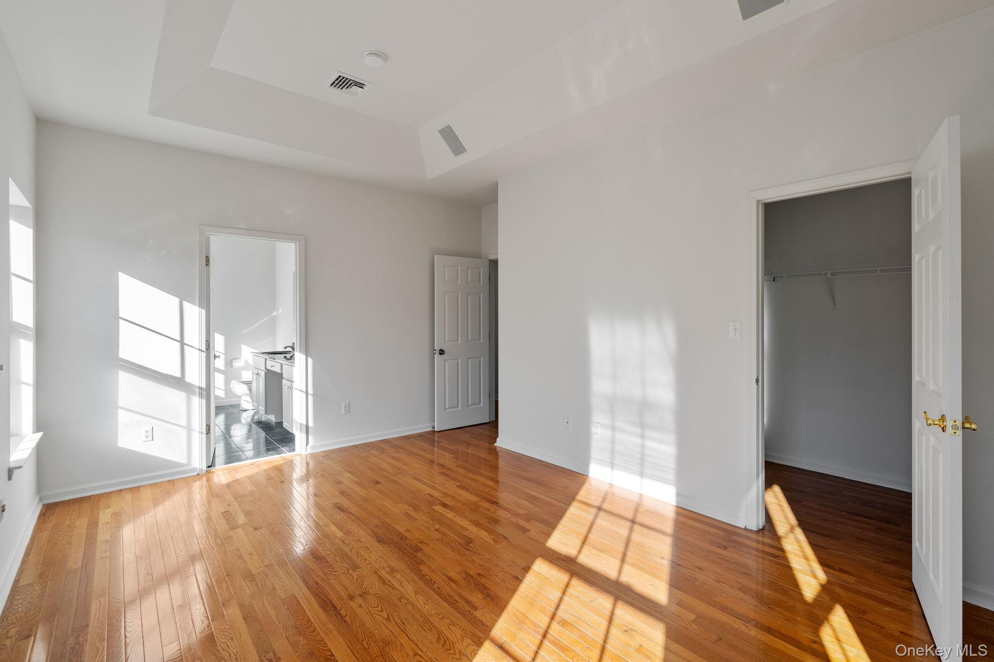 17 Carmella Road Highland, NY 12528 - Photo 28 of 48 Unfurnished bedroom with a walk in closet, a raised ceiling, and light wood finished floors