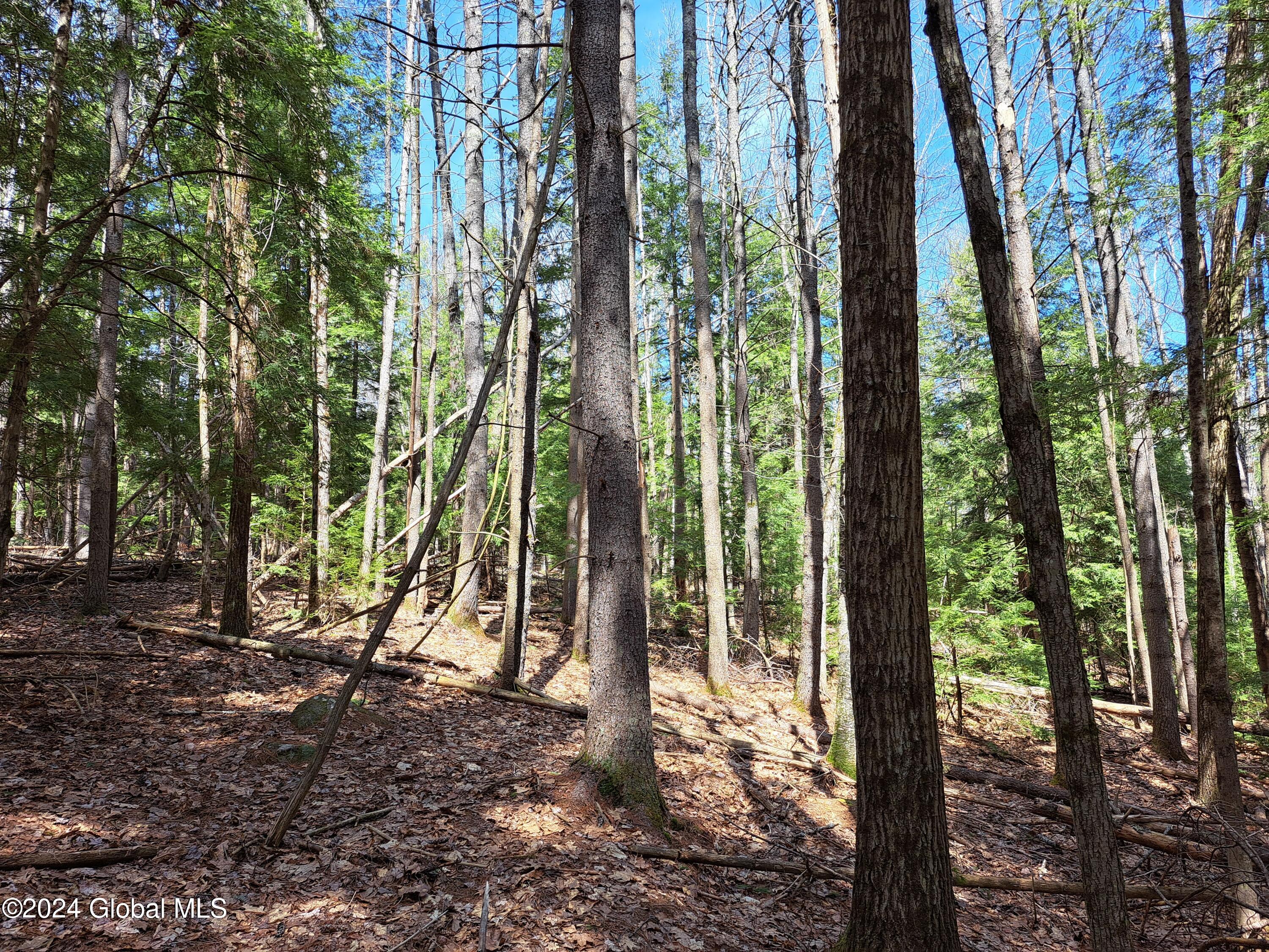 L21.1 Golf Course Road Warrensburg, NY 12885 - Photo 39 of 49 41 Well-Cared-For Forest