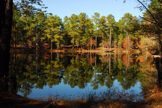 0 Fish Farm Road Trenton, SC 29847 - Photo 1 of 1 Main View