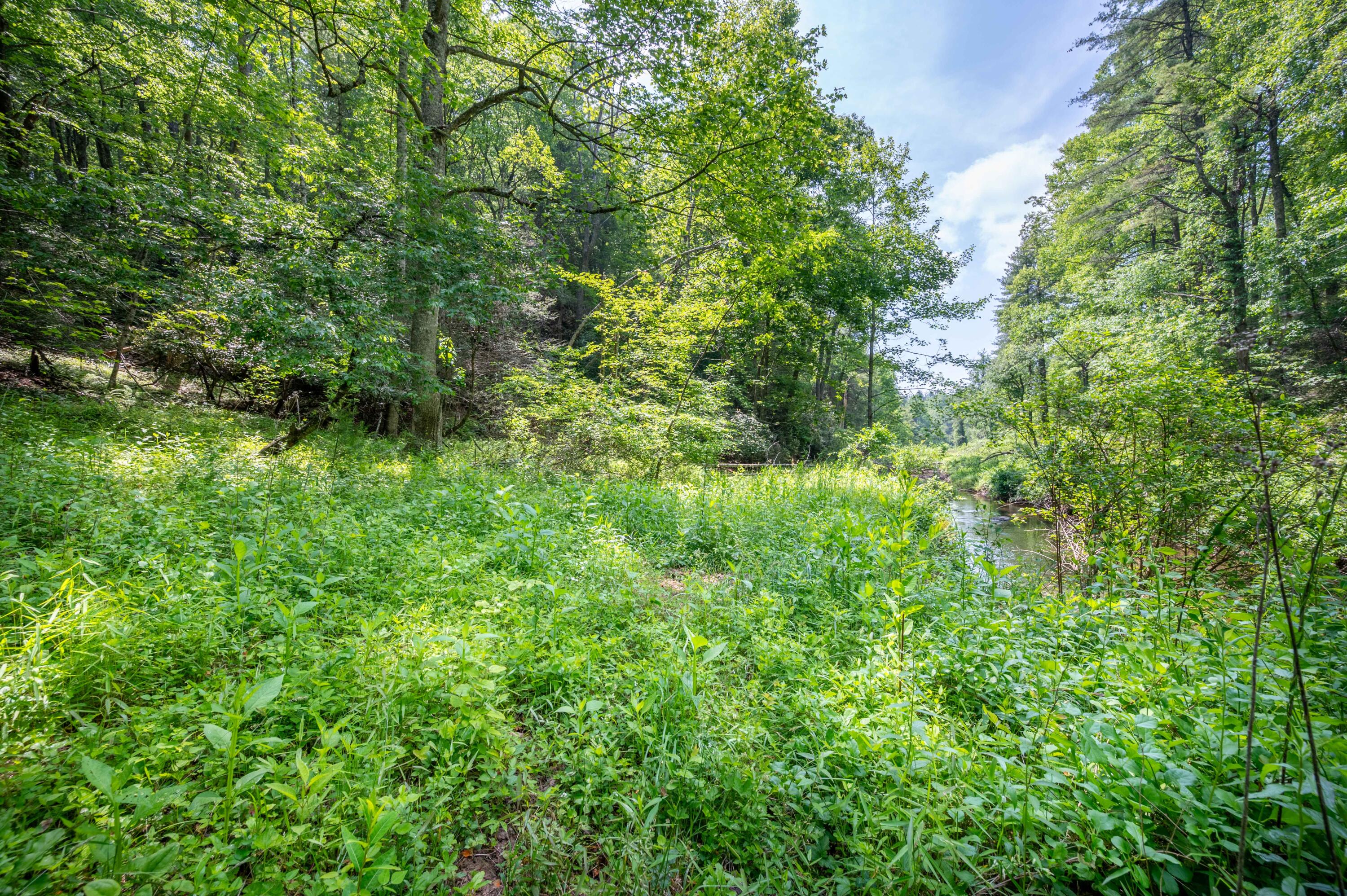 1073 Timberline Road Southeast Copper Hill, VA 24079 - Photo 31 of 56 30