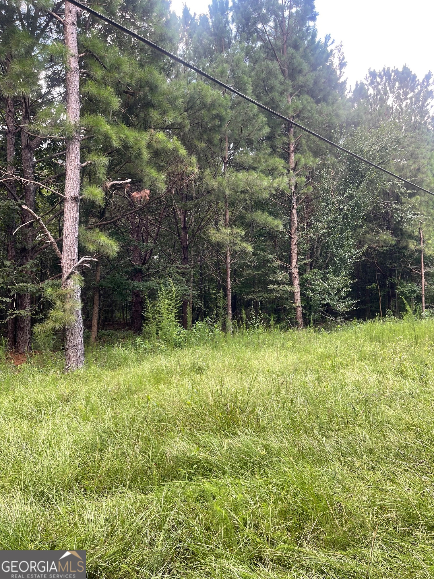 0 Main Milner, GA 30257 - Photo 1 of 4 a backyard of a house with lots of green space and outdoor seating