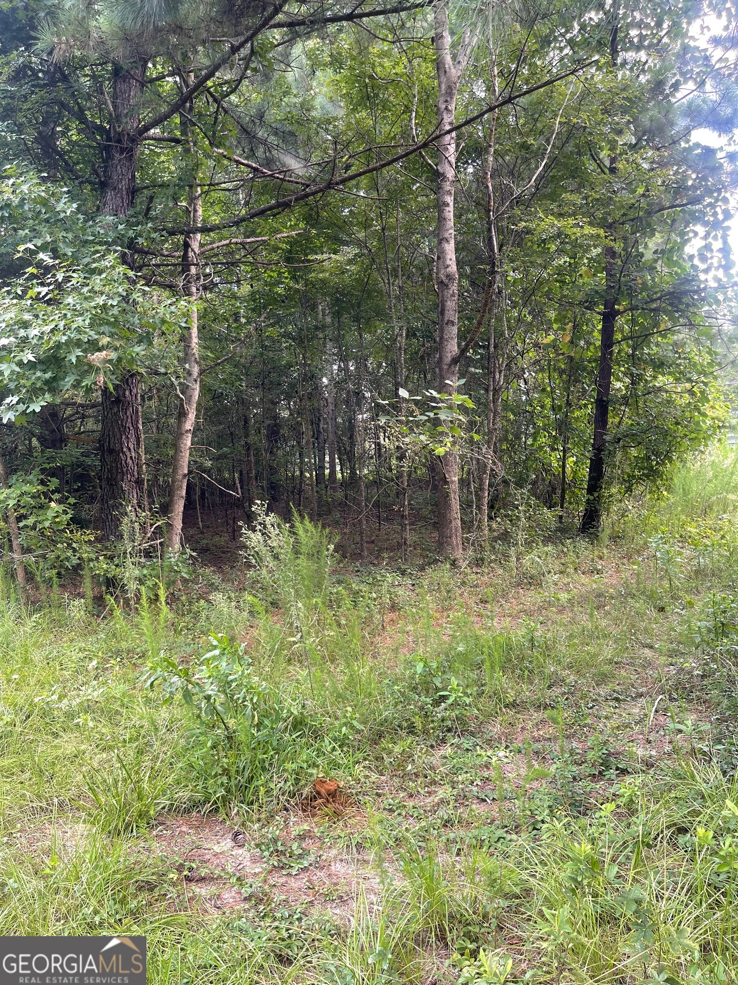 0 Main Milner, GA 30257 - Photo 2 of 4 a backyard of a house with lots of green space and plants