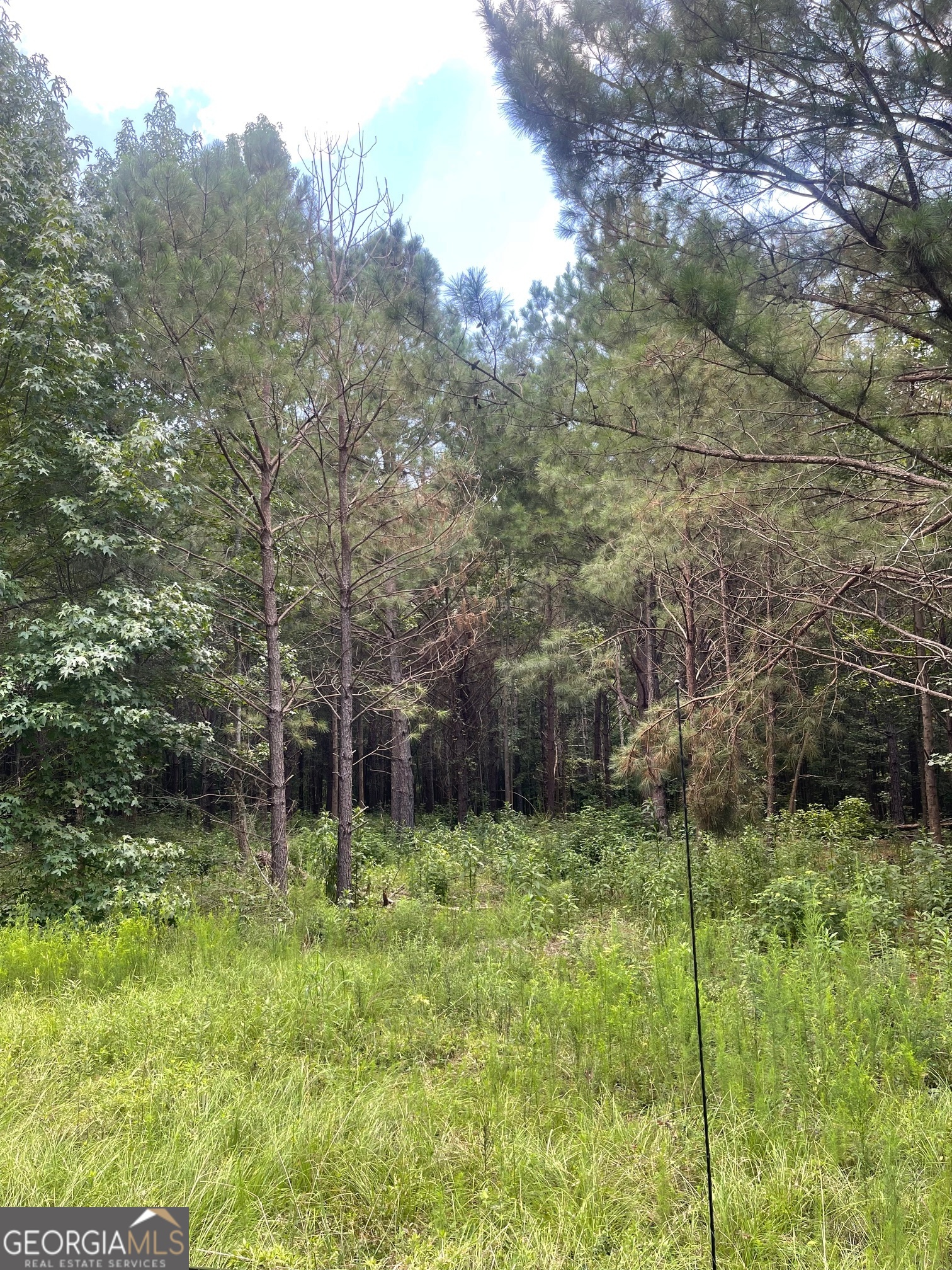 0 Main Milner, GA 30257 - Photo 4 of 4 a view of a backyard