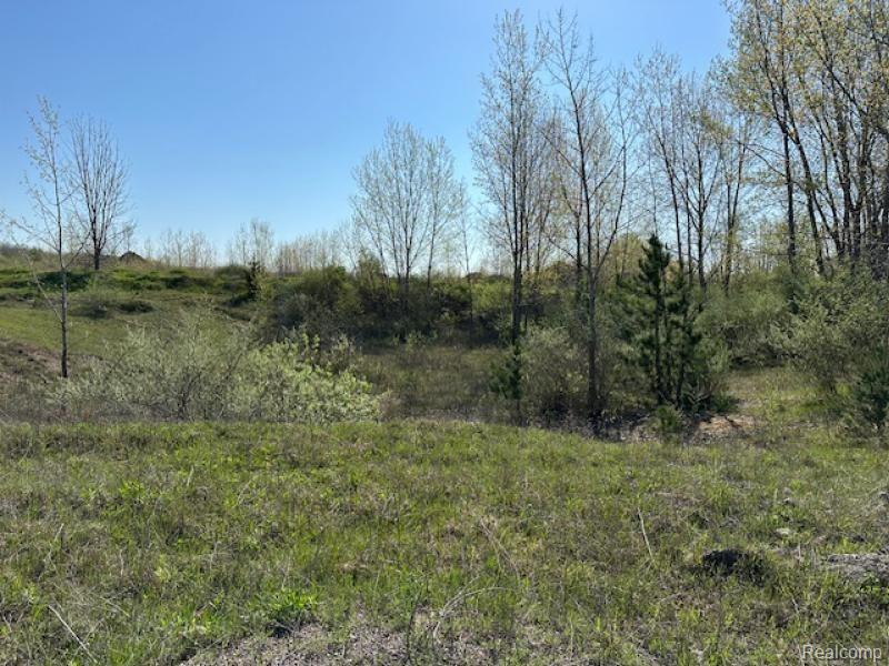 -parcel B Ambrose Road Mayville, MI 48744 - Photo 8 of 18 Gallery Image 8