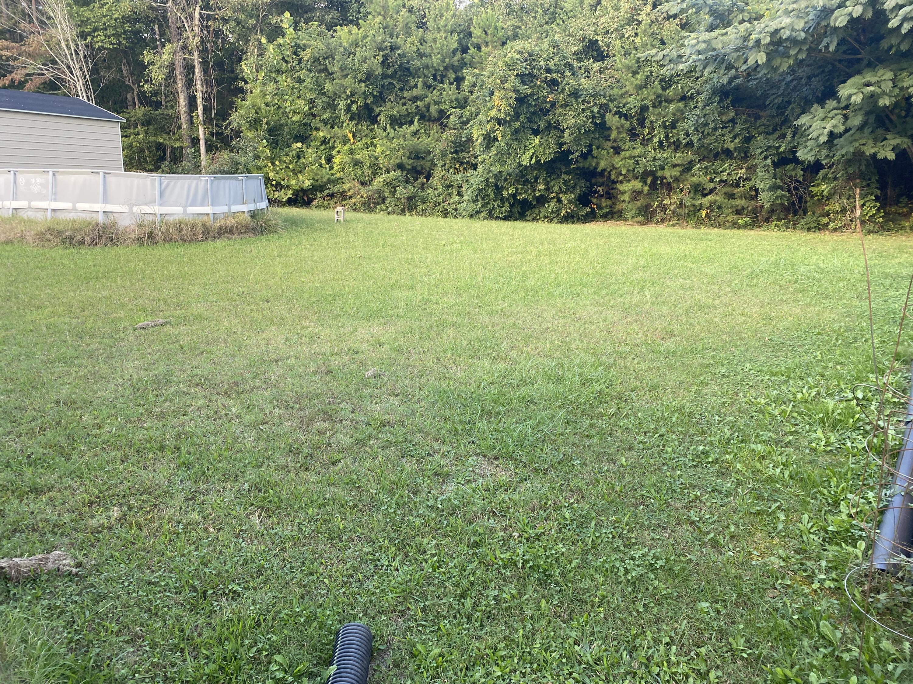 139 1st Street Corryton, TN 37721 - Photo 3 of 6 IMG_1569