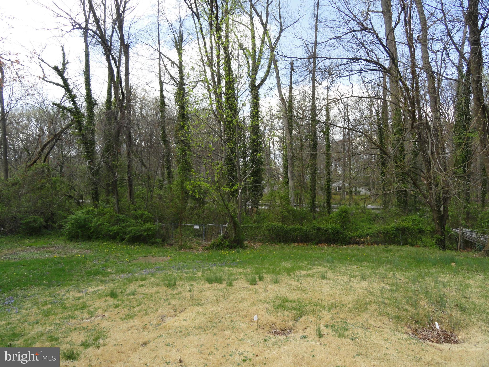 7322 Jervis Street Springfield, VA 22151 - Photo 22 of 23 Exterior (Rear)