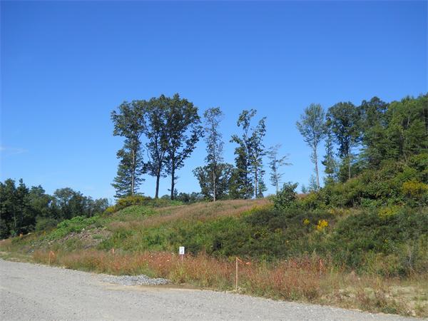 7 Quail Ridge Road Merrimac, MA 01860 - Photo 12 of 14 a view of a yard with a tree