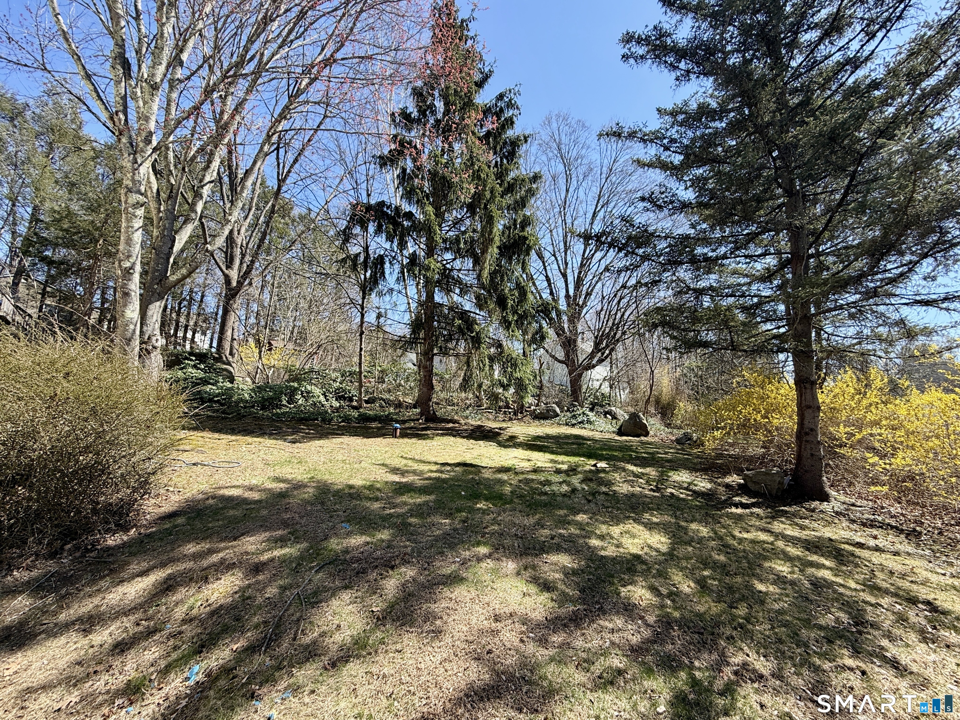 84 Wilmot Street Torrington, CT 06790 - Photo 16 of 18 a view of road with large trees