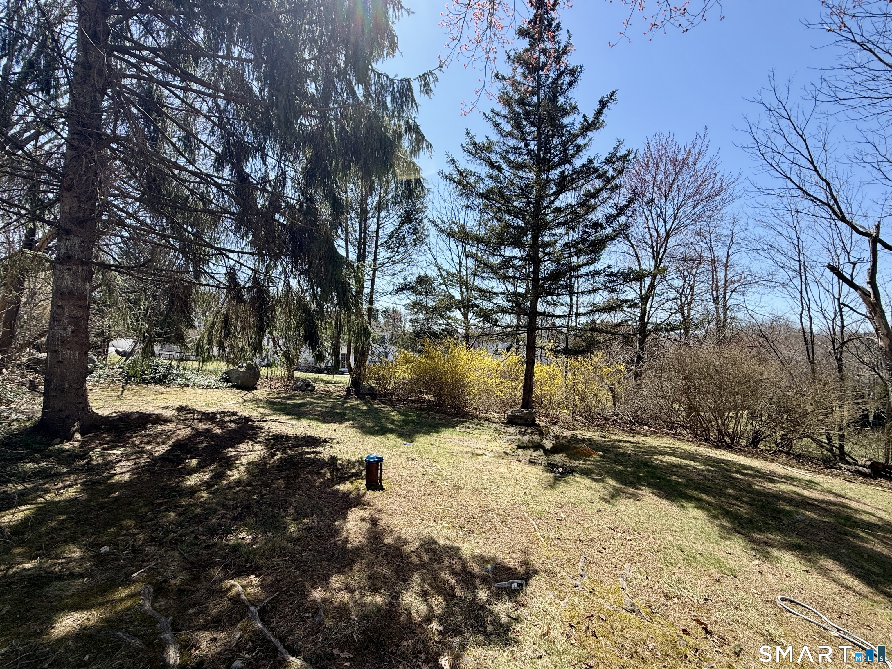 84 Wilmot Street Torrington, CT 06790 - Photo 18 of 18 a view of a yard with trees
