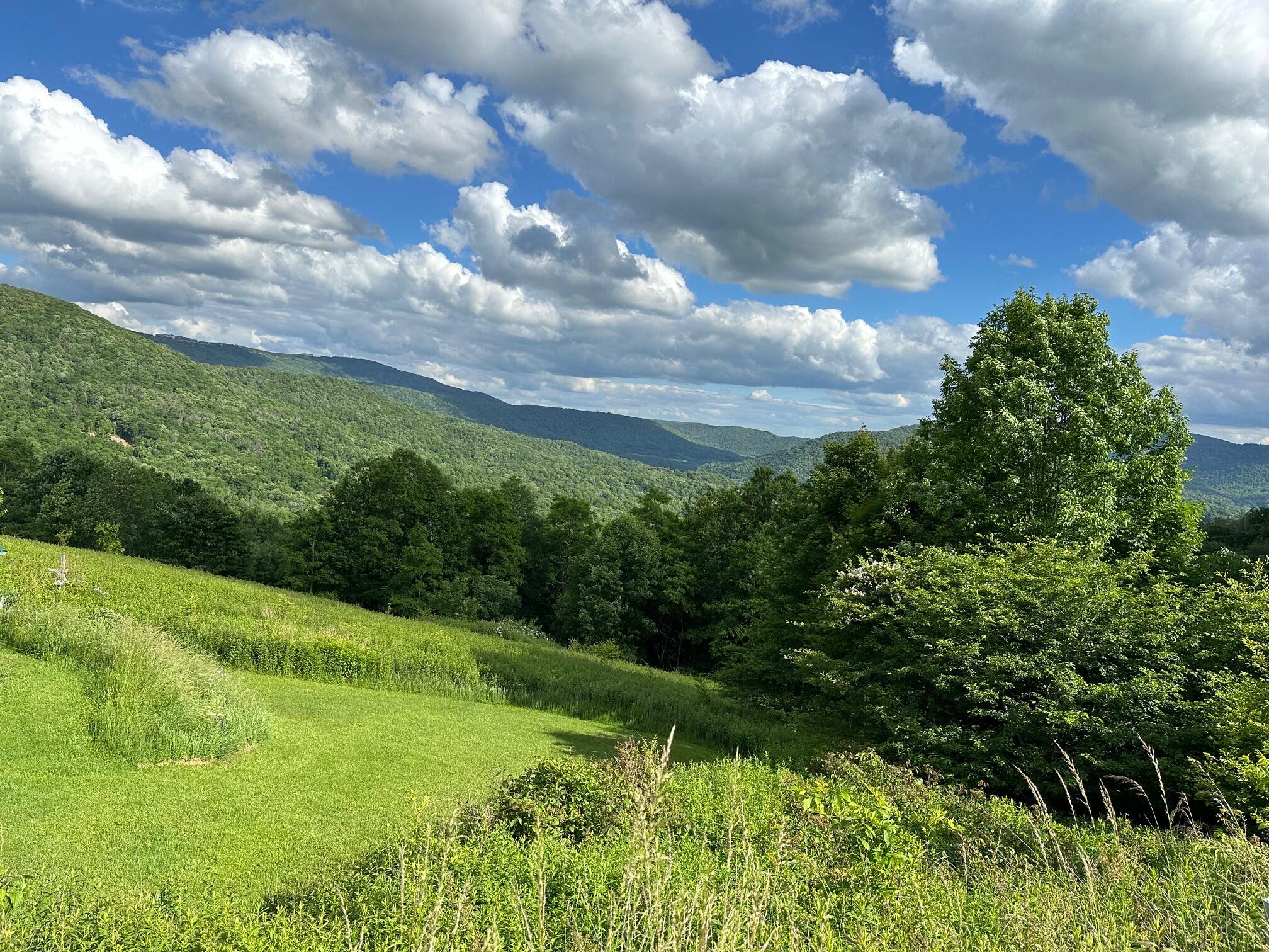 510 Headwaters Road Slatyfork, WV 26291 - Photo 3 of 12 Gallery Image 3