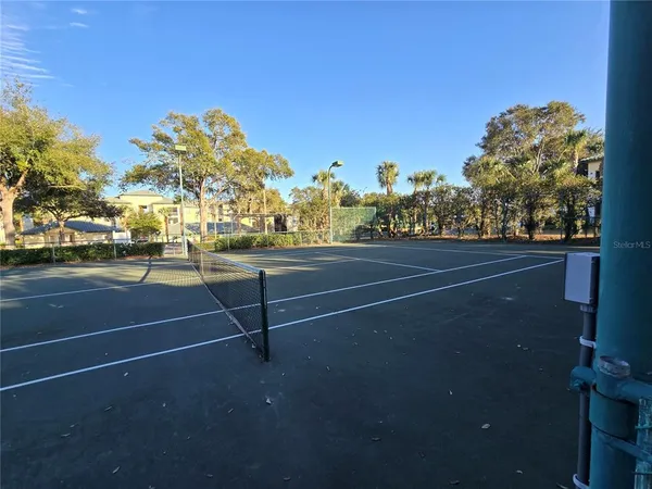 a view of a yard with palm trees