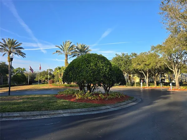 a view of road with trees