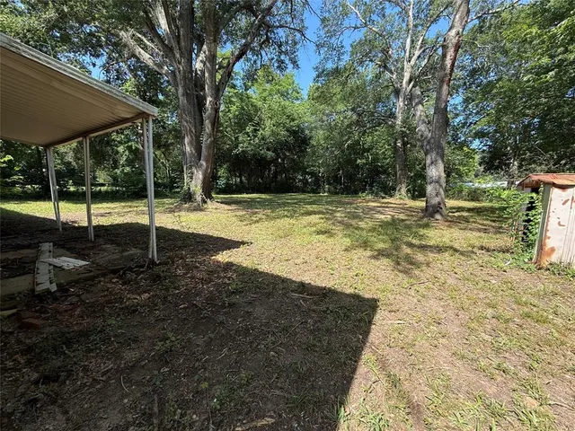 a view of a trees with a yard