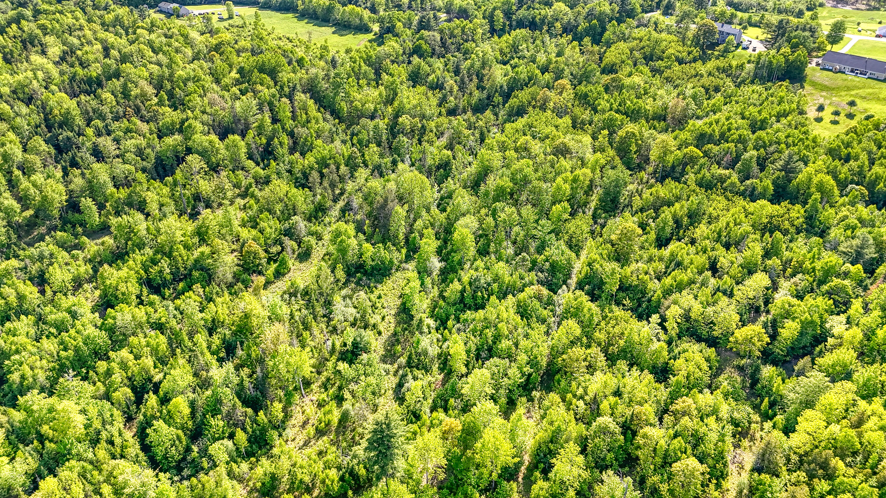 0 Pleasant View Ridge Road South China, ME 04358 - Photo 10 of 12 123-JR6X347-DP-110