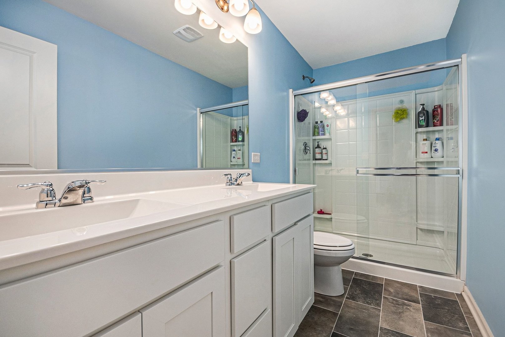 3825 Honeysuckle Lane Elgin, IL 60124 - Photo 8 of 18