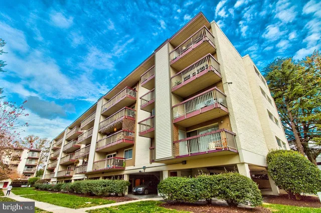 a view of a park with large trees