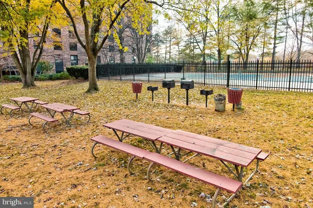 a view of a park with large trees