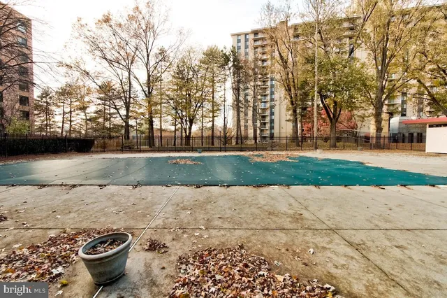 a view of a backyard with white space