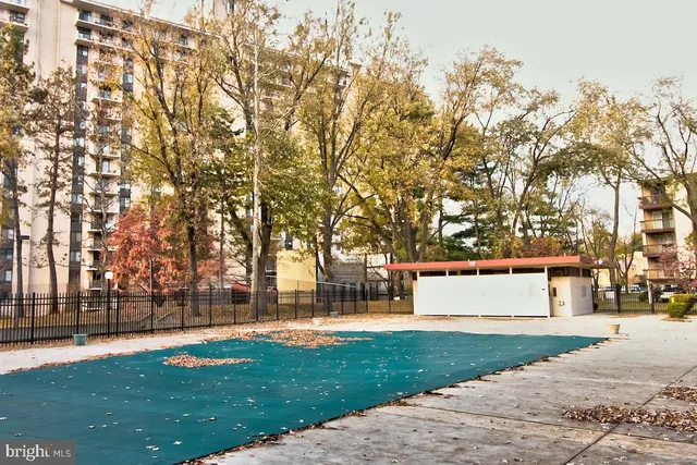 a view of yard with tree