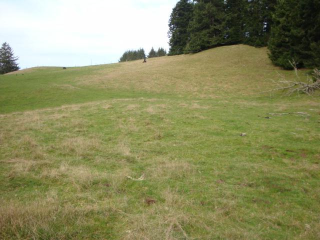 0 Berta Road Eureka, CA 95503 - Photo 15 of 20