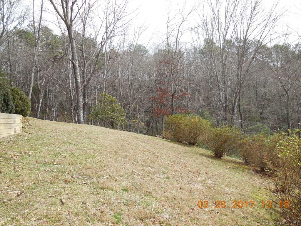 1201 Laurel Falls Road Brevard, NC 28712 - Photo 5 of 19 Gallery Image 5