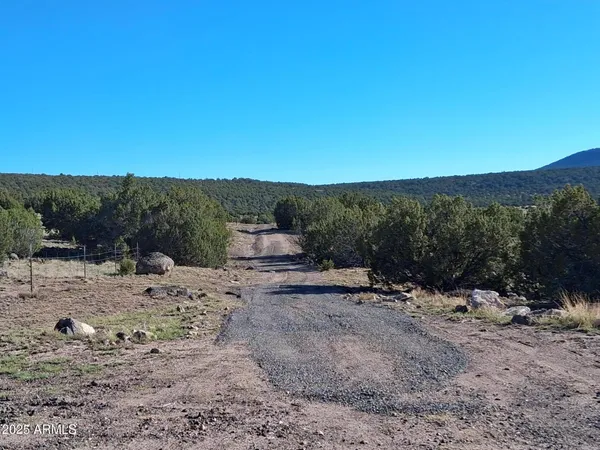 a view of a yard with a tree