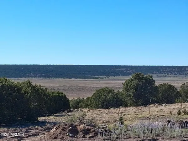 a view of a field with trees in the background