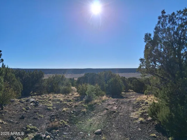 $56,947 | 26 County Road 3000, Show Low, AZ 85901