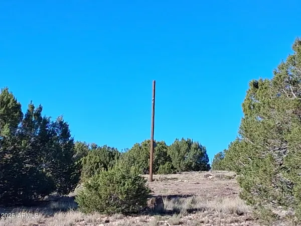 $49,947 | 26 County Road 3000, Concho, AZ 85924