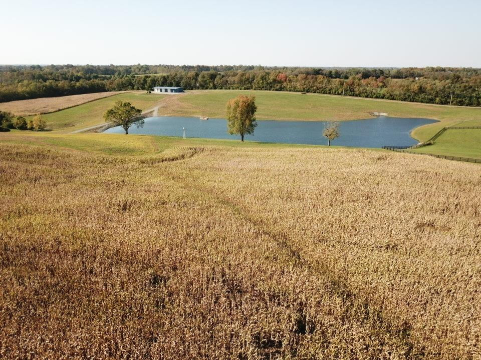 5151 Jacks Creek Road Lexington, KY 40515 - Photo 2 of 5 Photo 2