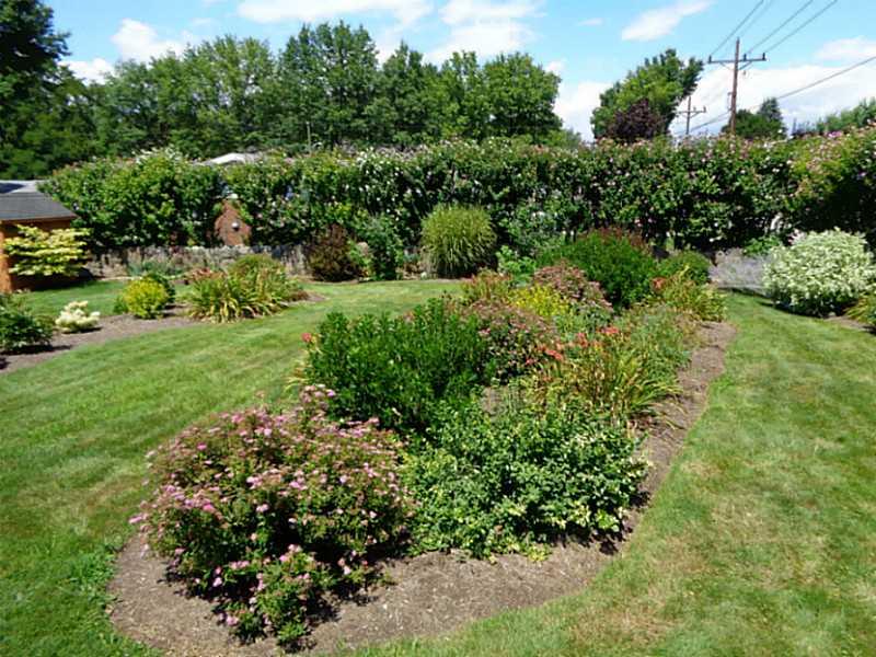 401 Locust Street Indiana, PA 15701 - Photo 19 of 25 Yard/Garden.
