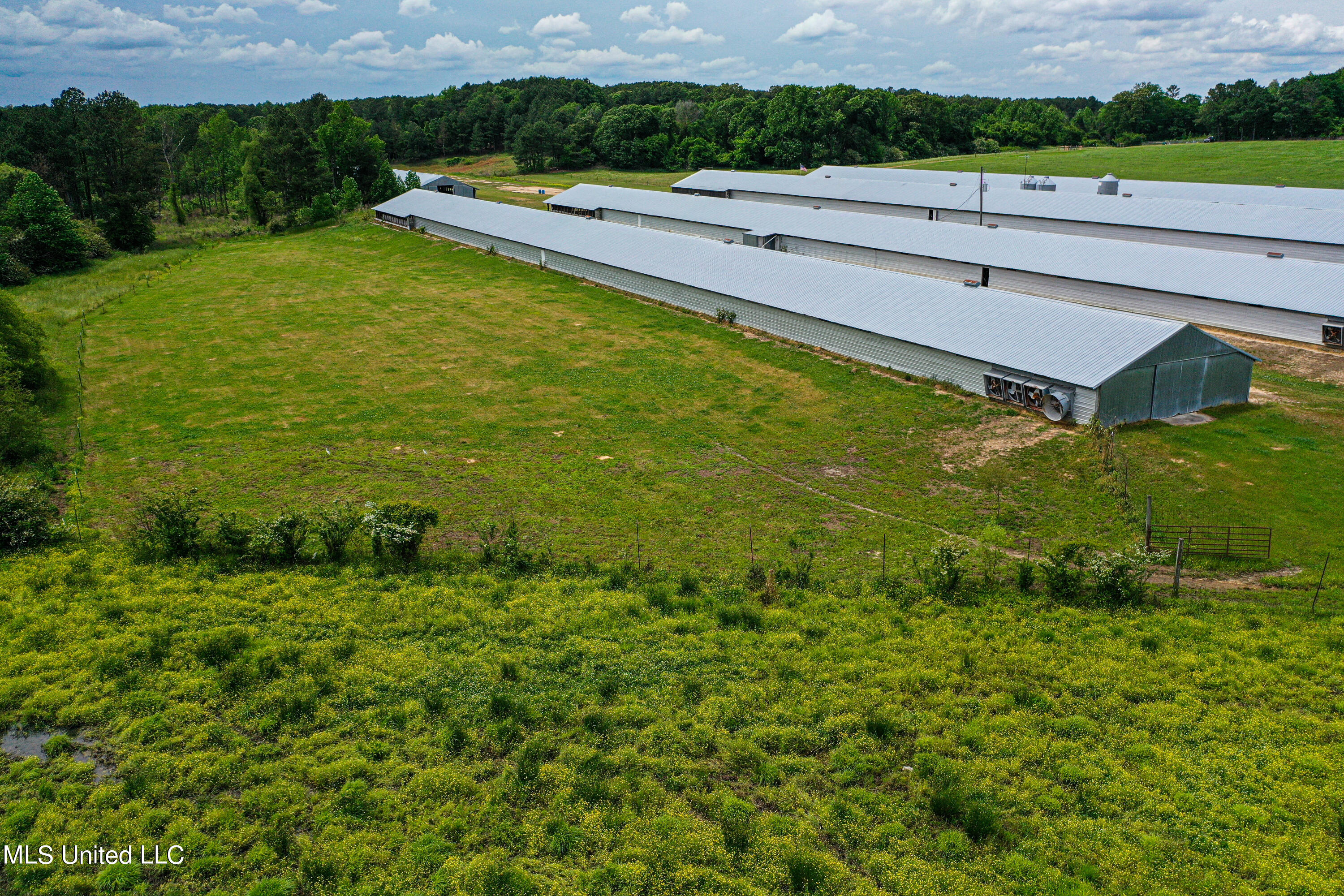 1477 Comans Road Carthage, MS 39051 - Photo 33 of 70 DJI_0716