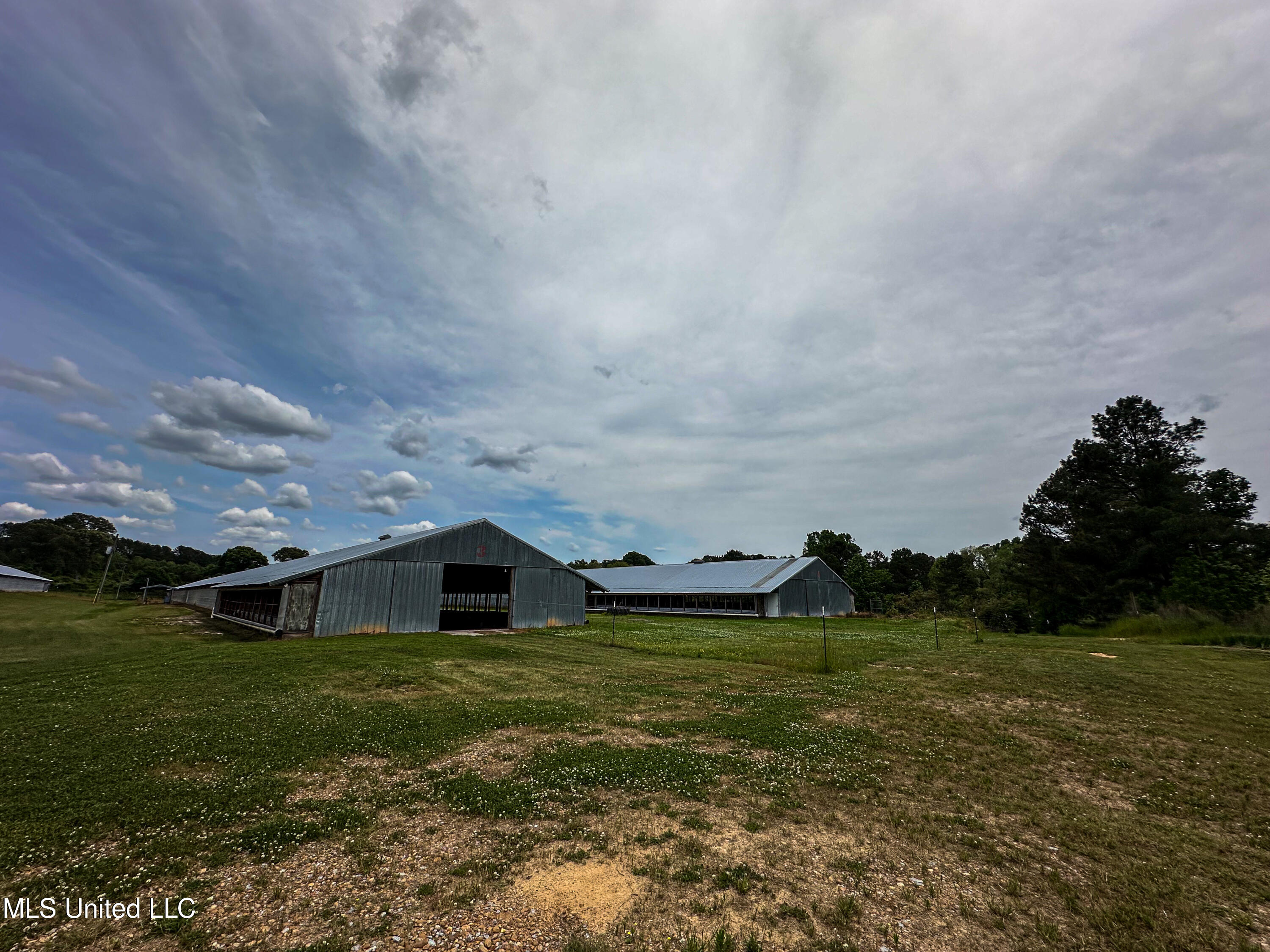 1477 Comans Road Carthage, MS 39051 - Photo 46 of 70 IMG_8171