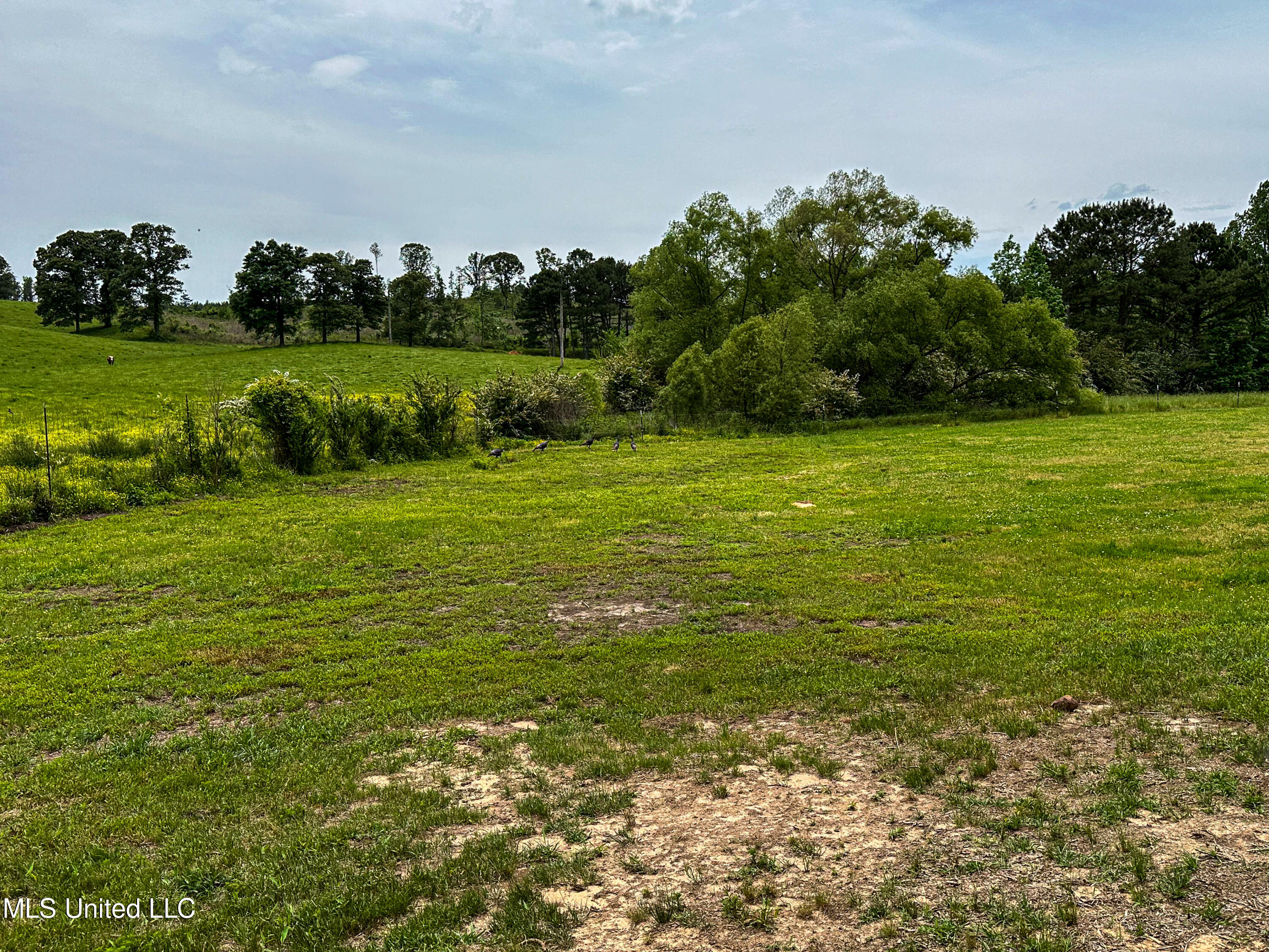 1477 Comans Road Carthage, MS 39051 - Photo 51 of 70 IMG_8180