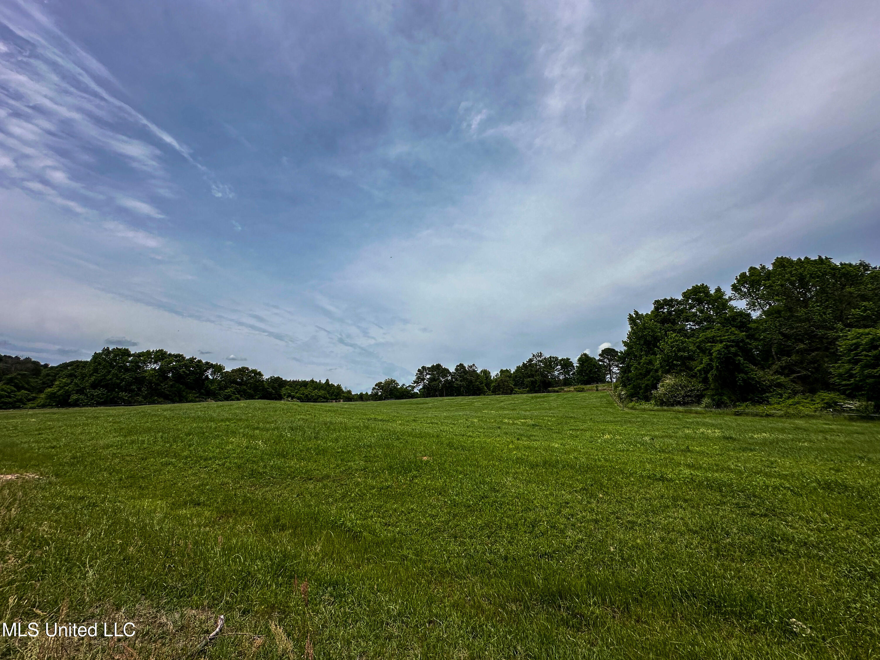 1477 Comans Road Carthage, MS 39051 - Photo 58 of 70 IMG_8192