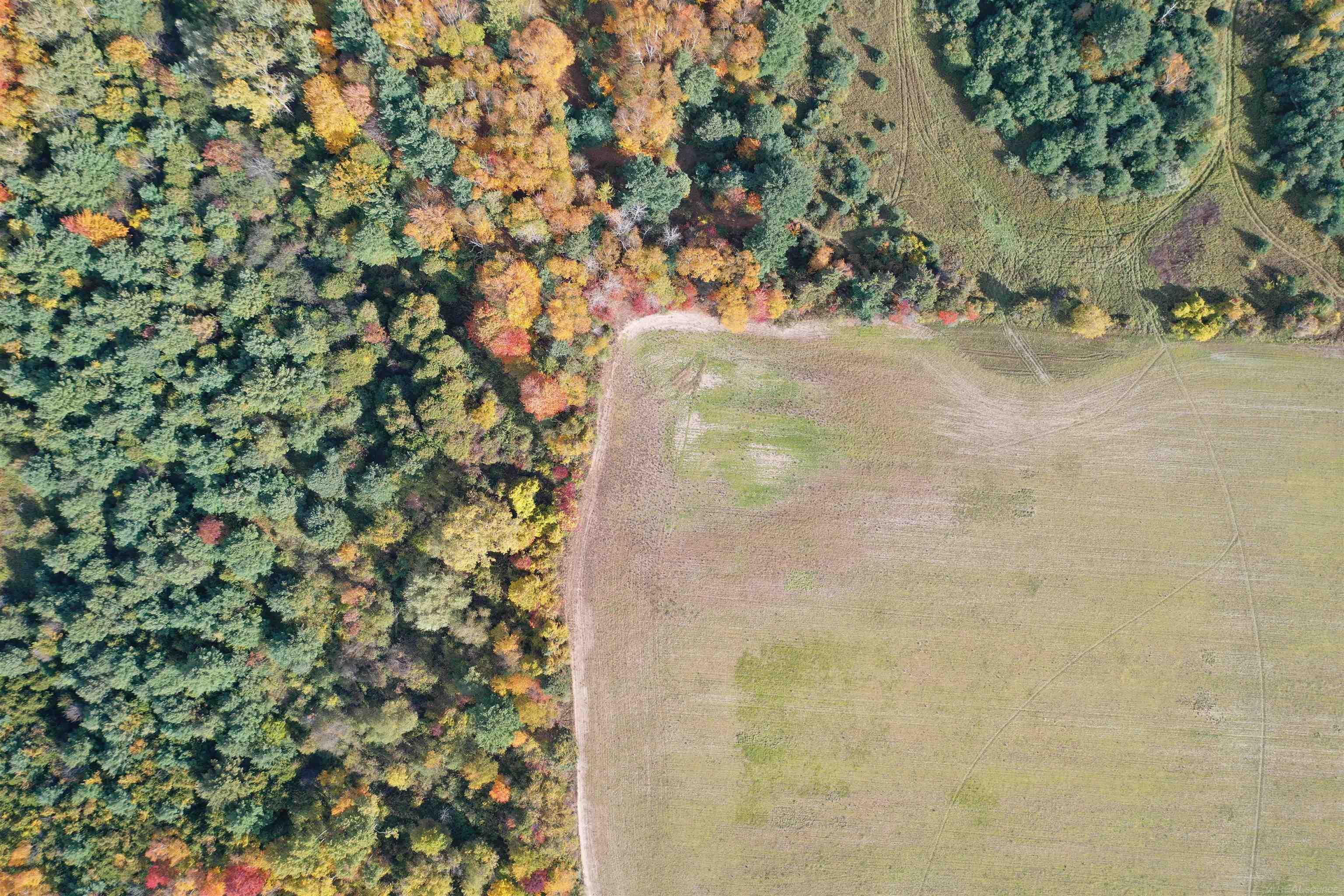 0 French Line Road Carsonville, MI 48419 - Photo 6 of 25