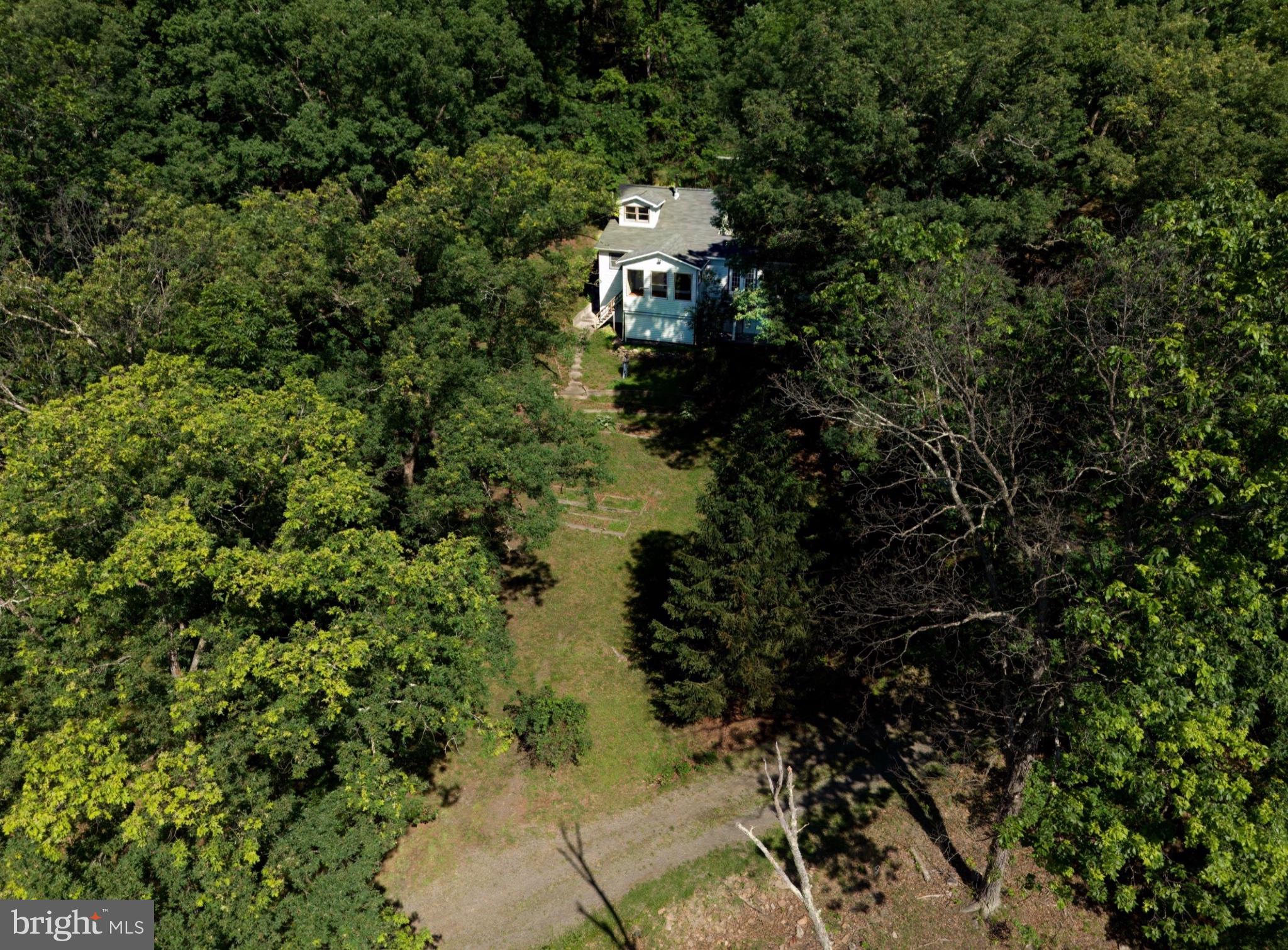 2932 Kerns School Road Springfield, WV 26763 - Photo 33 of 35 Secluded retreat amidst lush greenery.