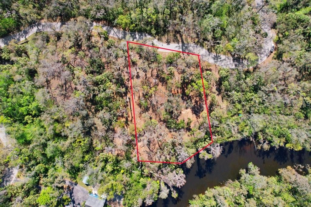 4868 Rambling River Road Brandon, FL 33511 - Photo 39 of 45 a view of a lake with a tree