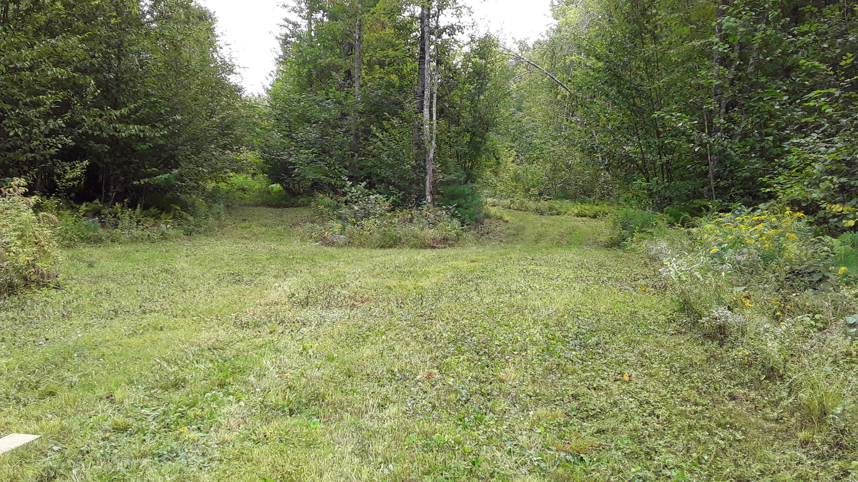 239 Fish Street Fryeburg, ME 04037 - Photo 6 of 10 20230915_103845