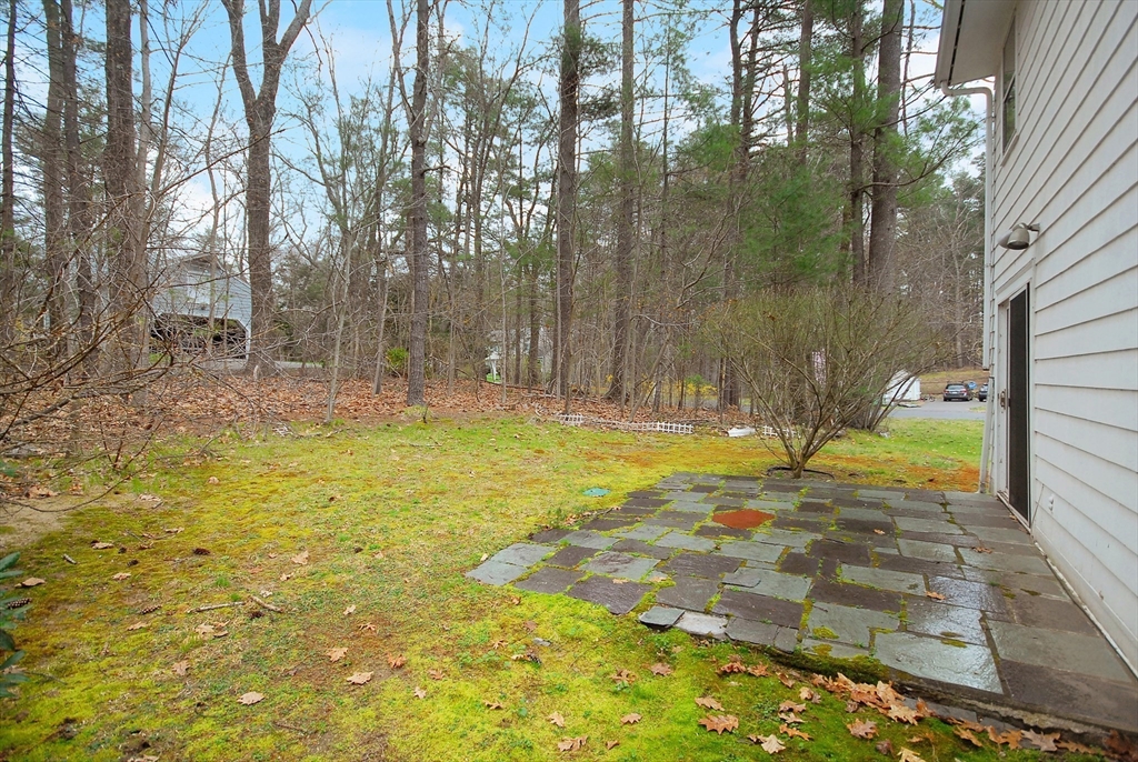 469 Hayward Mill Road Concord, MA 01742 - Photo 29 of 30 a view of swimming pool with large trees