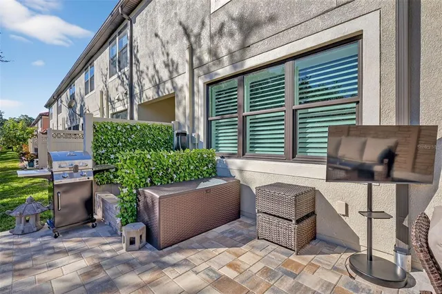 a view of backyard with a chair and potted plants
