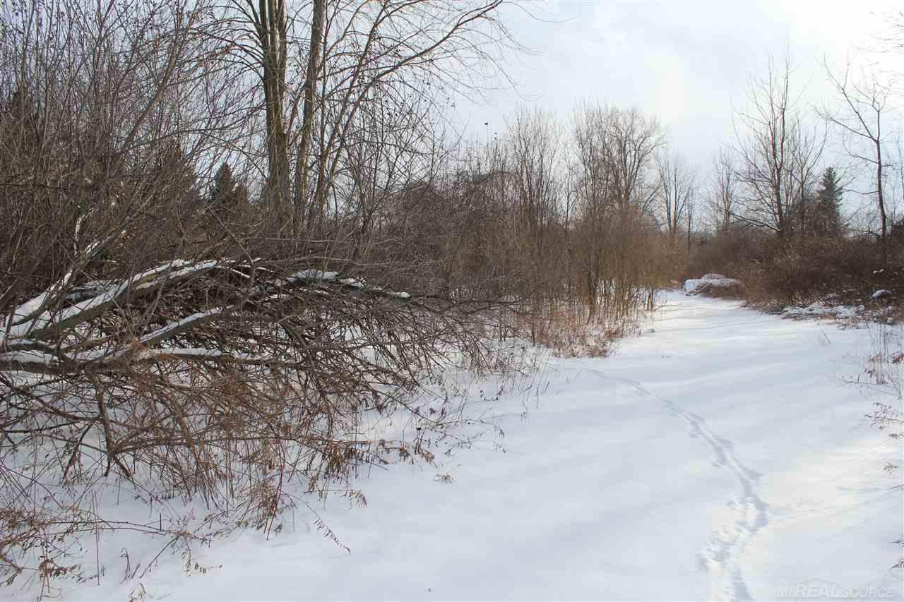 22140 Armada Ridge Road Armada, MI 48005 - Photo 3 of 82