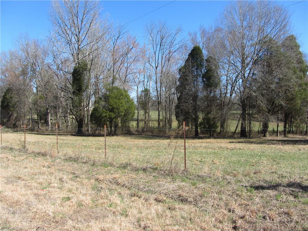 3-acres Webster Road Madison, NC 27025 - Photo 8 of 9 Gallery Image 8
