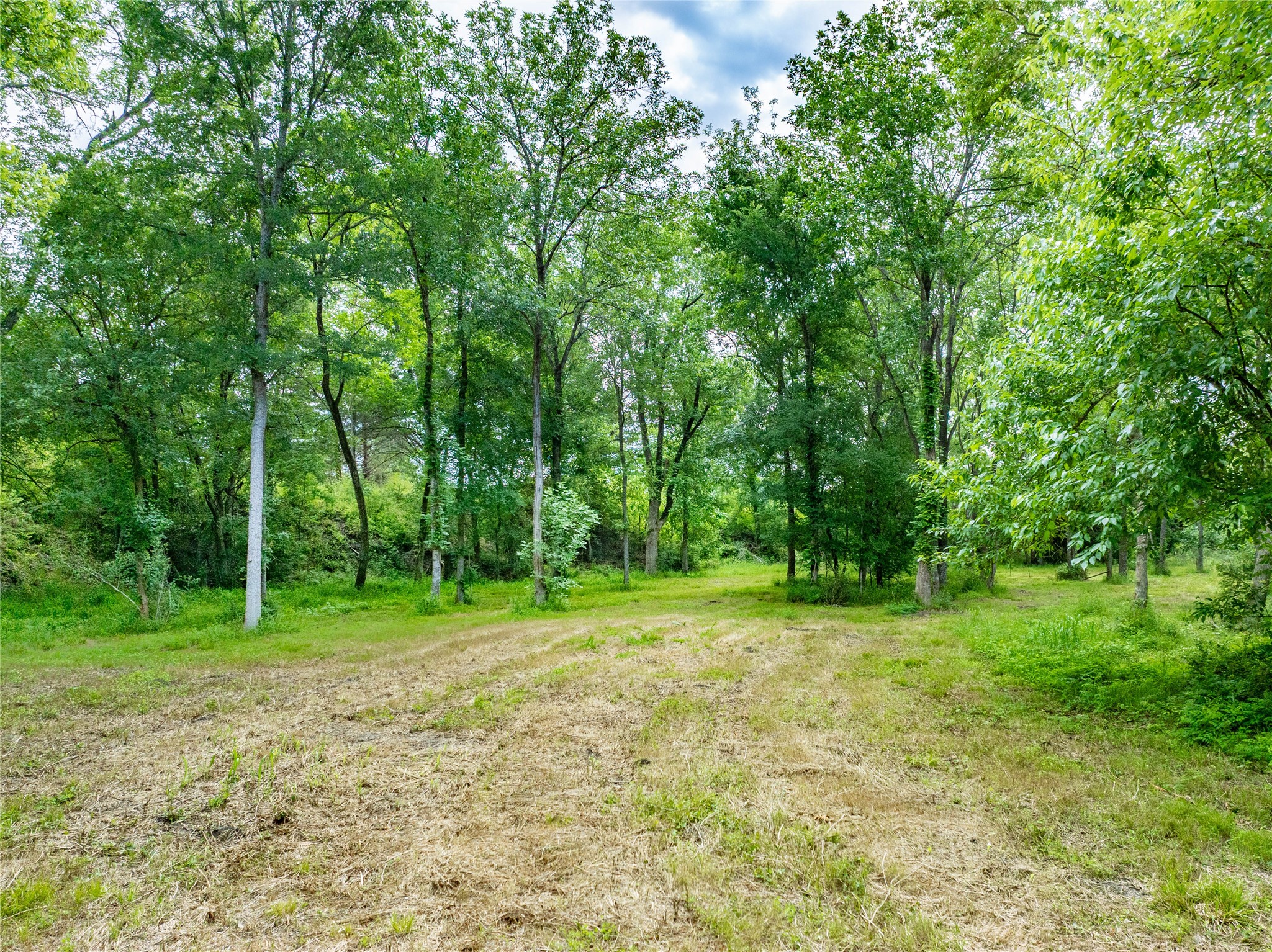 a view of a green field with trees in the background
