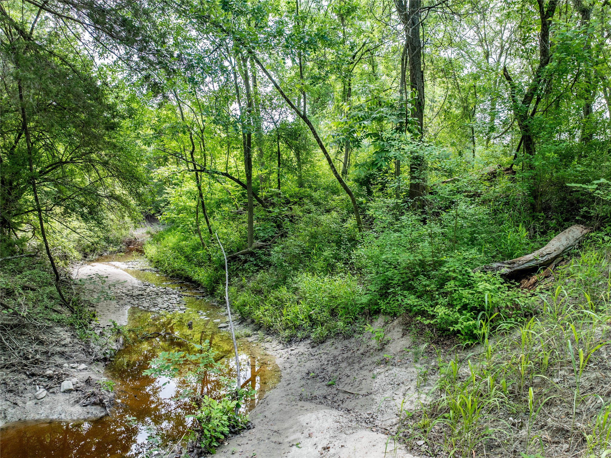 Tbd Schwartz Road Washington, TX 77880 - Photo 11 of 17 a backyard of a house with lots of green space