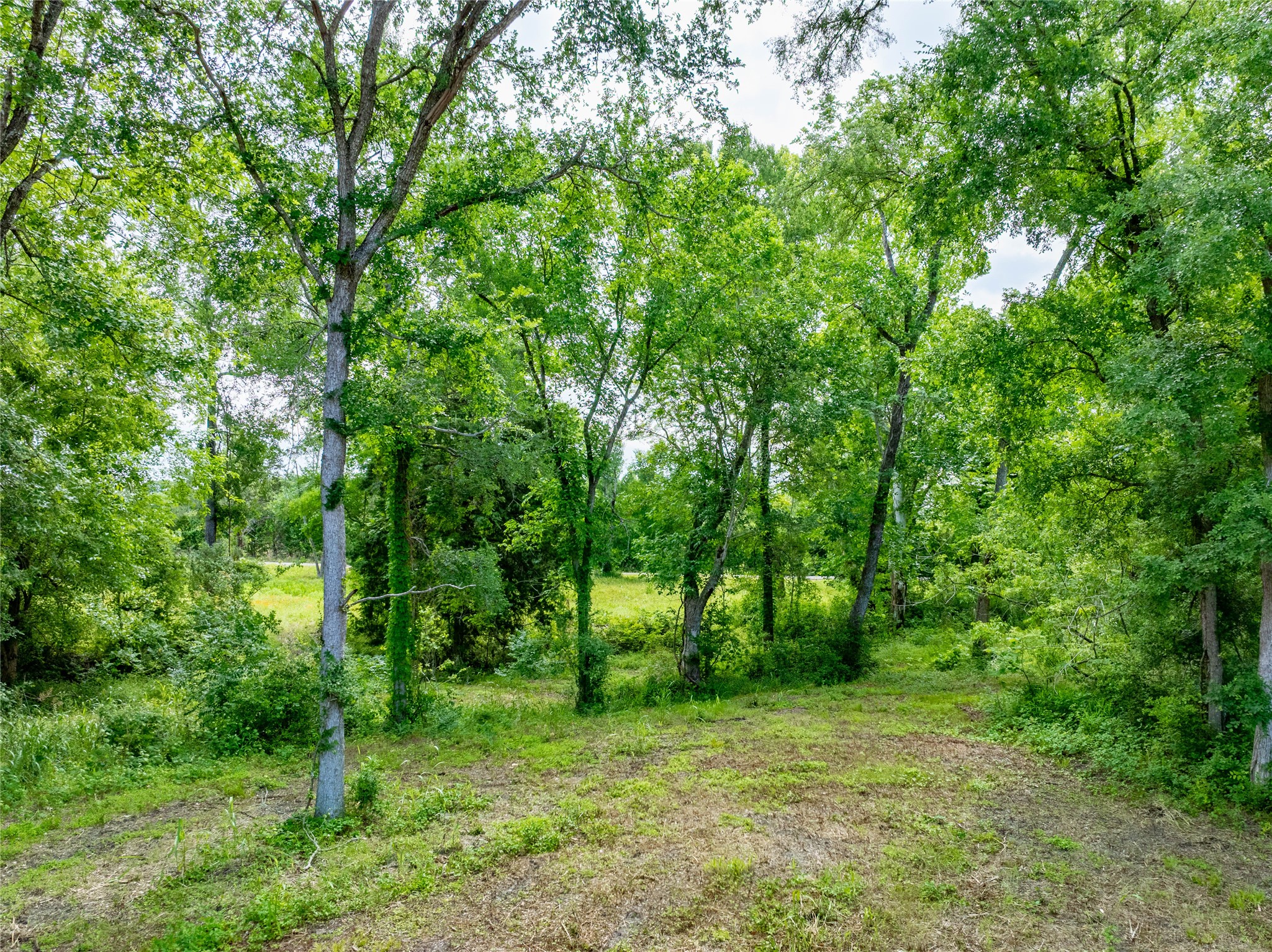 Tbd Schwartz Road Washington, TX 77880 - Photo 12 of 17 a view of outdoor space and green space