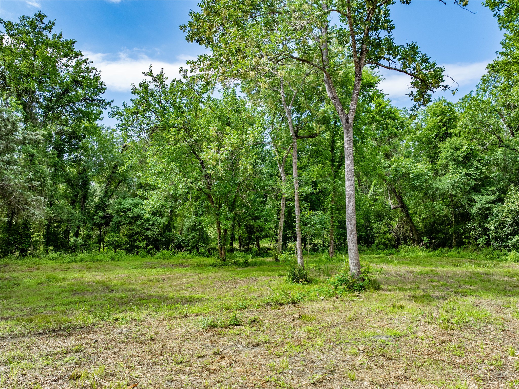 Tbd Schwartz Road Washington, TX 77880 - Photo 13 of 17 a view of outdoor space with a garden