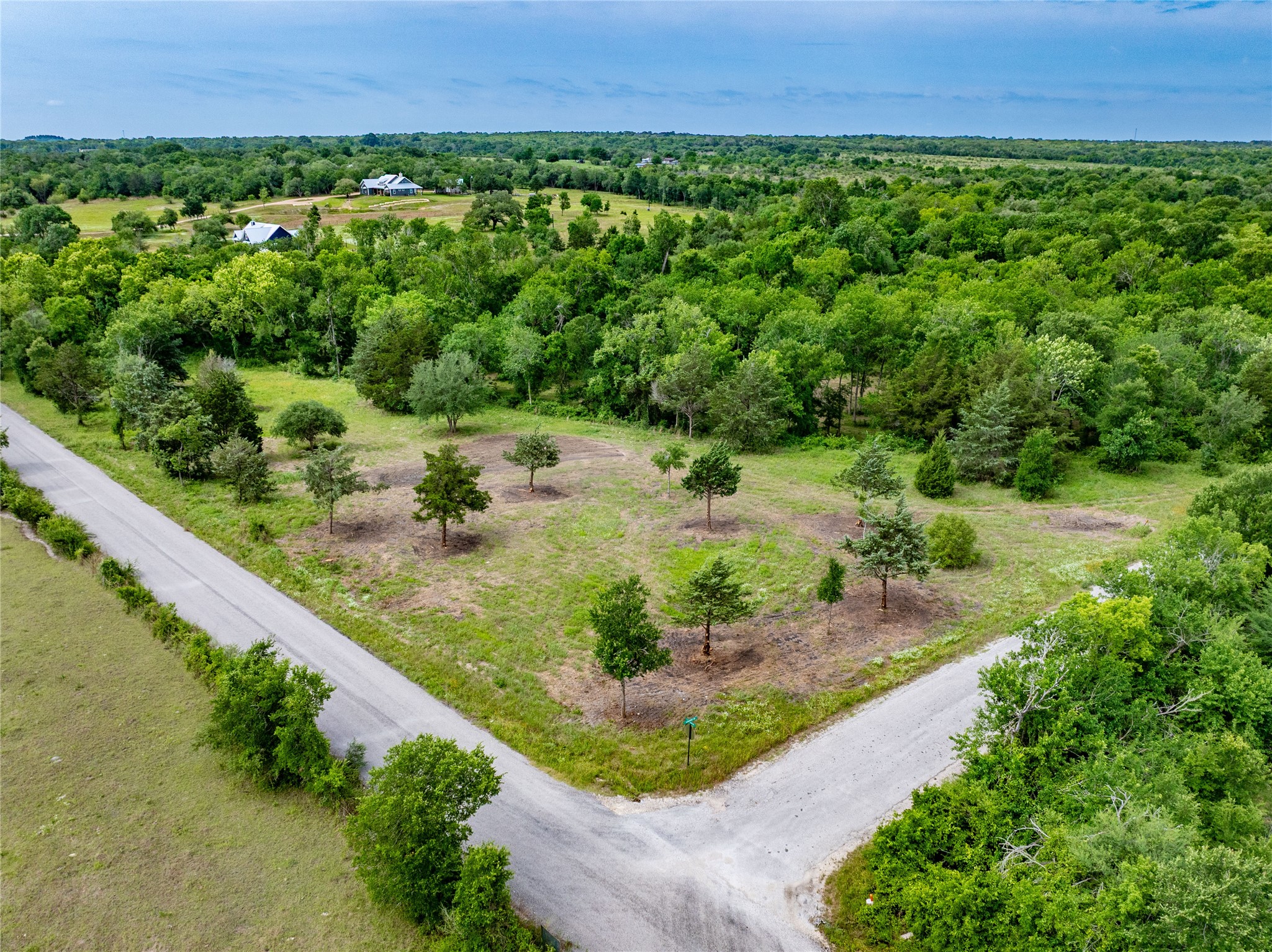 Tbd Schwartz Road Washington, TX 77880 - Photo 14 of 17 a view of a lush green field