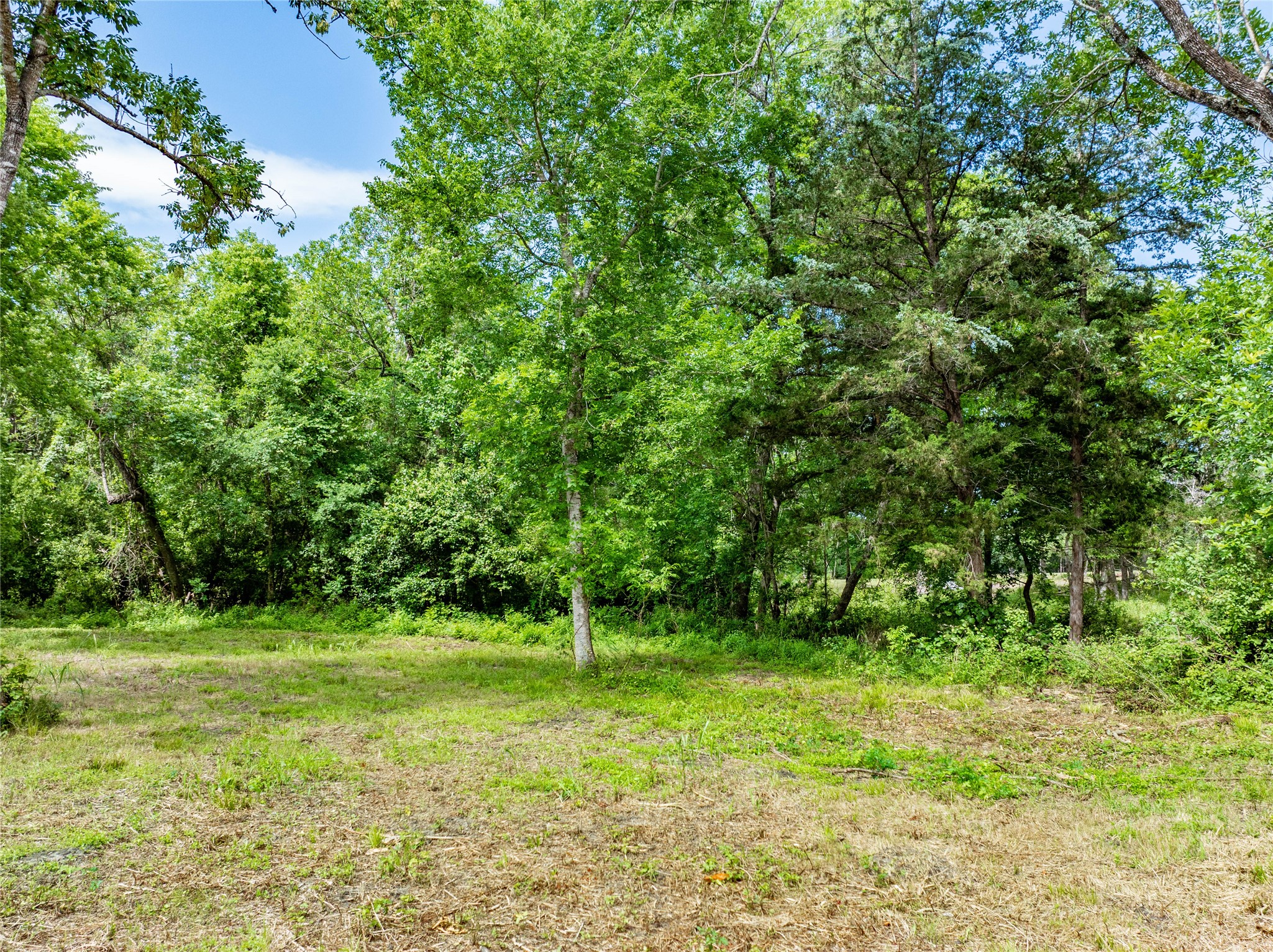 Tbd Schwartz Road Washington, TX 77880 - Photo 15 of 17 a view of a green field with a tree